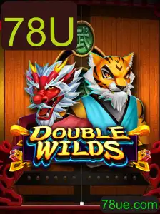 Explorando o Fascinante Mundo de DoubleWilds: Um Guia Completo